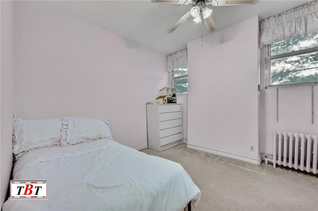 3715 Bedford Avenue, Brooklyn, New York, 11229 image 29