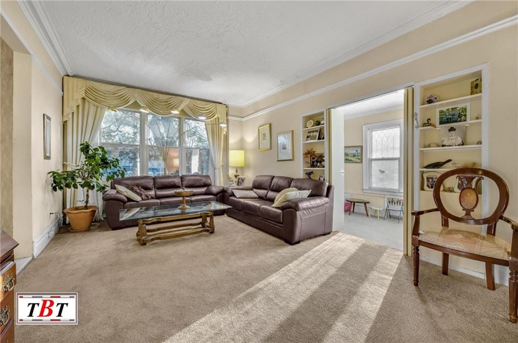 3715 Bedford Avenue, Brooklyn, New York, 11229 image 10