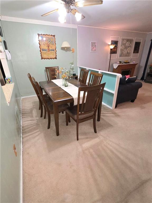 692 Sackman Street, Brooklyn, New York, 11212 image 7