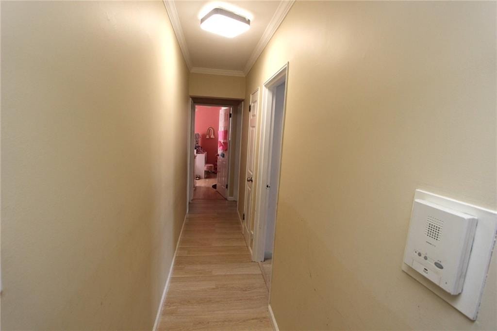 2212 Plumb 1st Street 1C, Brooklyn, New York, 11229 image 19