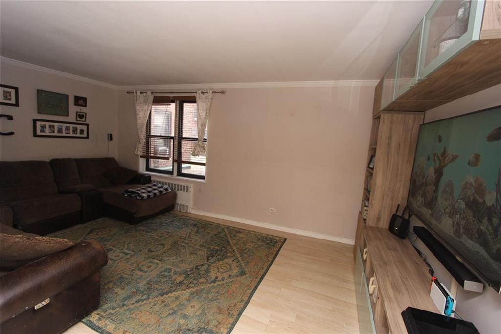 2212 Plumb 1st Street 1C, Brooklyn, New York, 11229 image 8