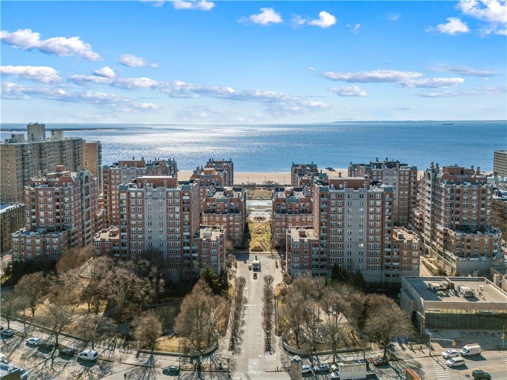 60 Oceana Drive 8B, Brooklyn, New York, 11235 image 28