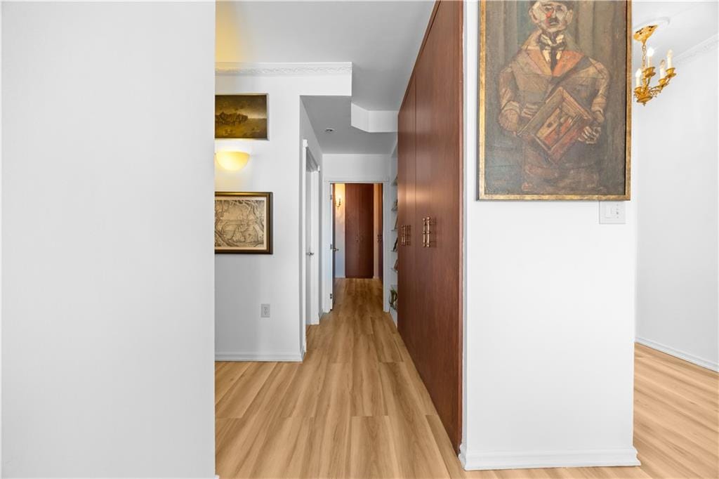 60 Oceana Drive 8B, Brooklyn, New York, 11235 image 10