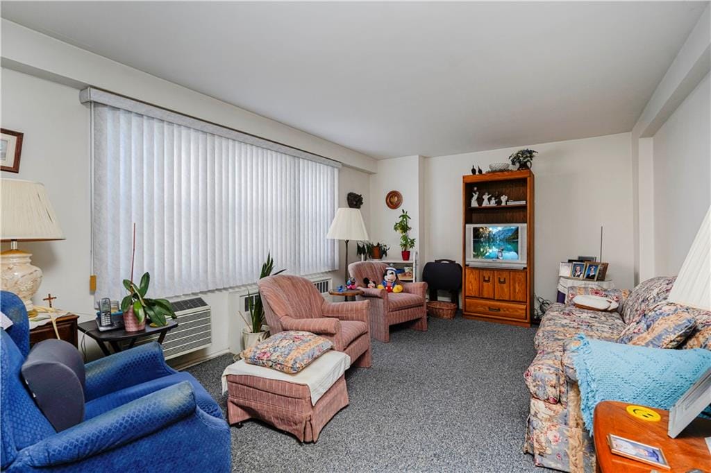 2475 West 16th Street 4k, Brooklyn, New York, 11214 image 7