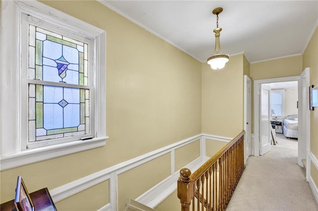2114 Avenue N, Brooklyn, New York, 11210 image 13