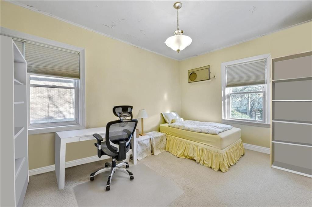 2114 Avenue N, Brooklyn, New York, 11210 image 15