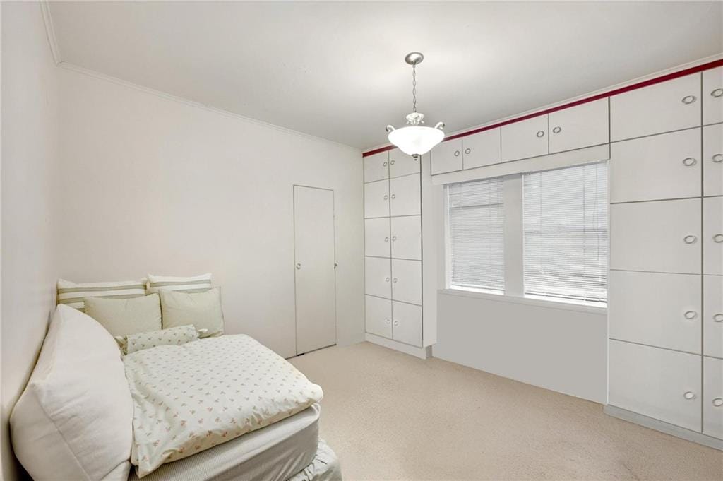 2114 Avenue N, Brooklyn, New York, 11210 image 17