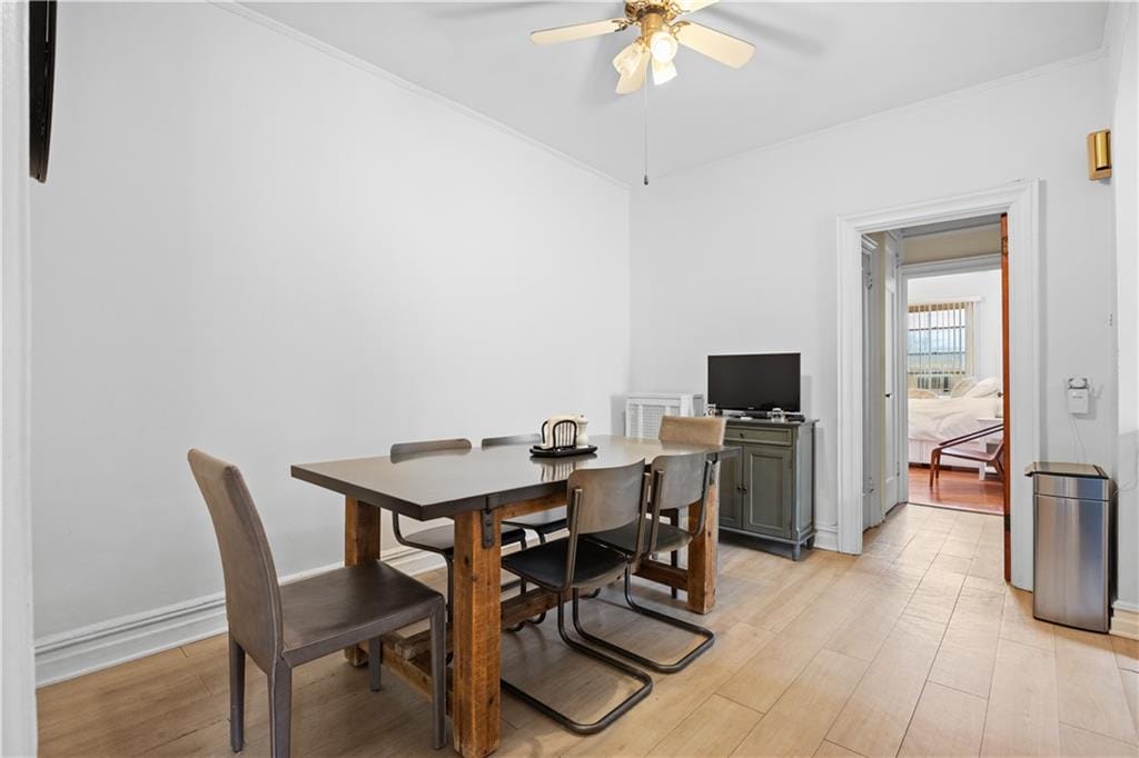 1643 Dahill Road, Brooklyn, New York, 11223 image 9
