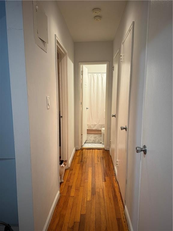 2665 Homecrest Avenue 2X, Brooklyn, New York, 11235 image 7
