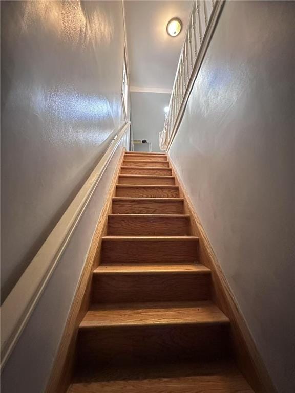 201 Gelston Avenue, Brooklyn, New York, 11209 image 8