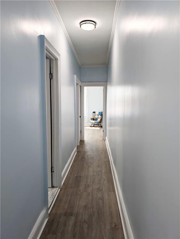 5311 Beverley Road, Brooklyn, New York, 11203 image 11