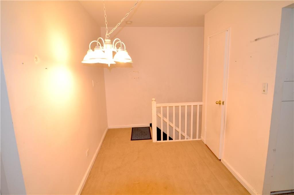 2033 Pearson Street 76F, Brooklyn, New York, 11234 image 7