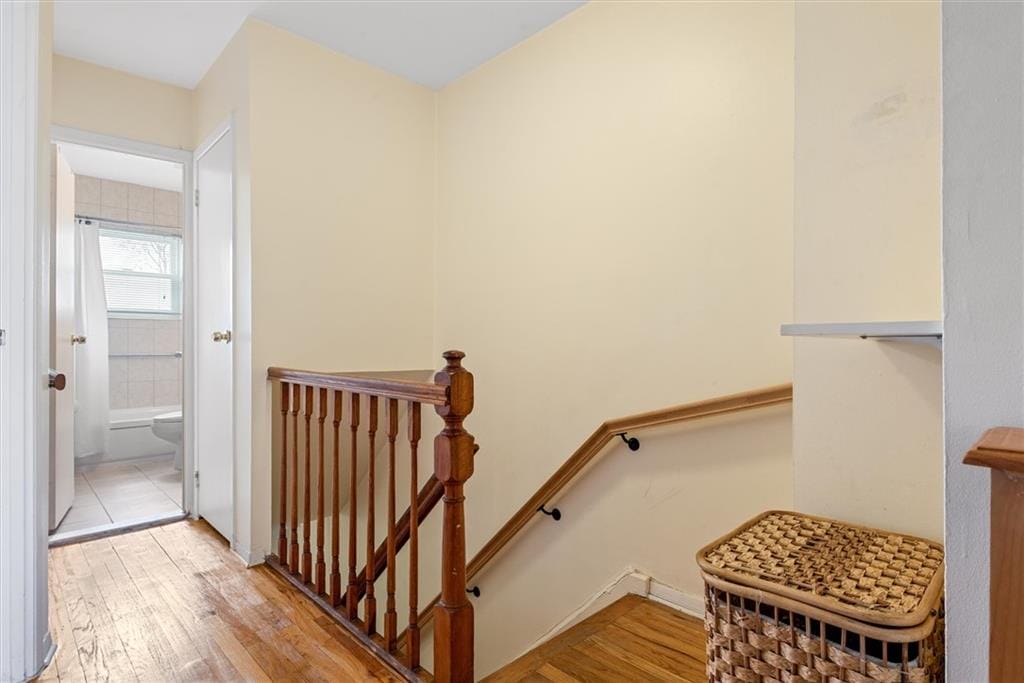 1311 Dumont Avenue, Brooklyn, New York, 11208 image 13