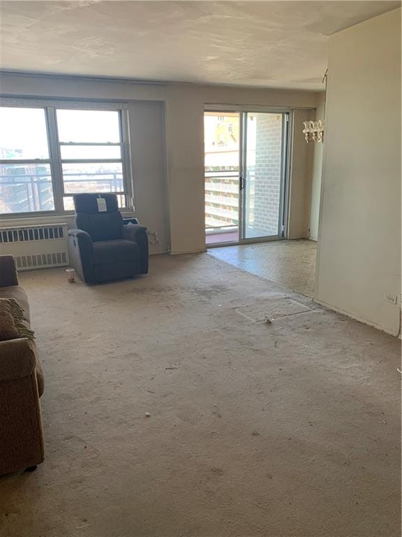 2652 Cropsey Avenue 15K, Brooklyn, New York, 11214 image 8