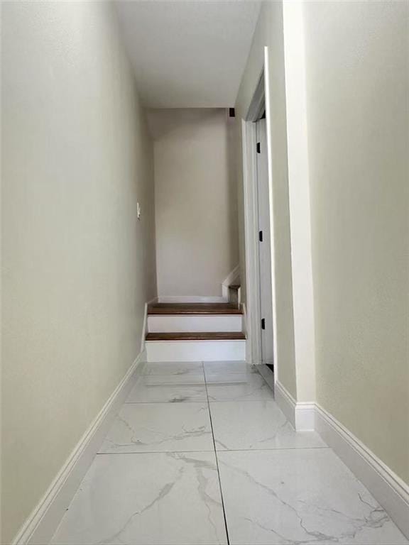 19 Drumgoole Road, Staten  Island, New York, 10312 image 8
