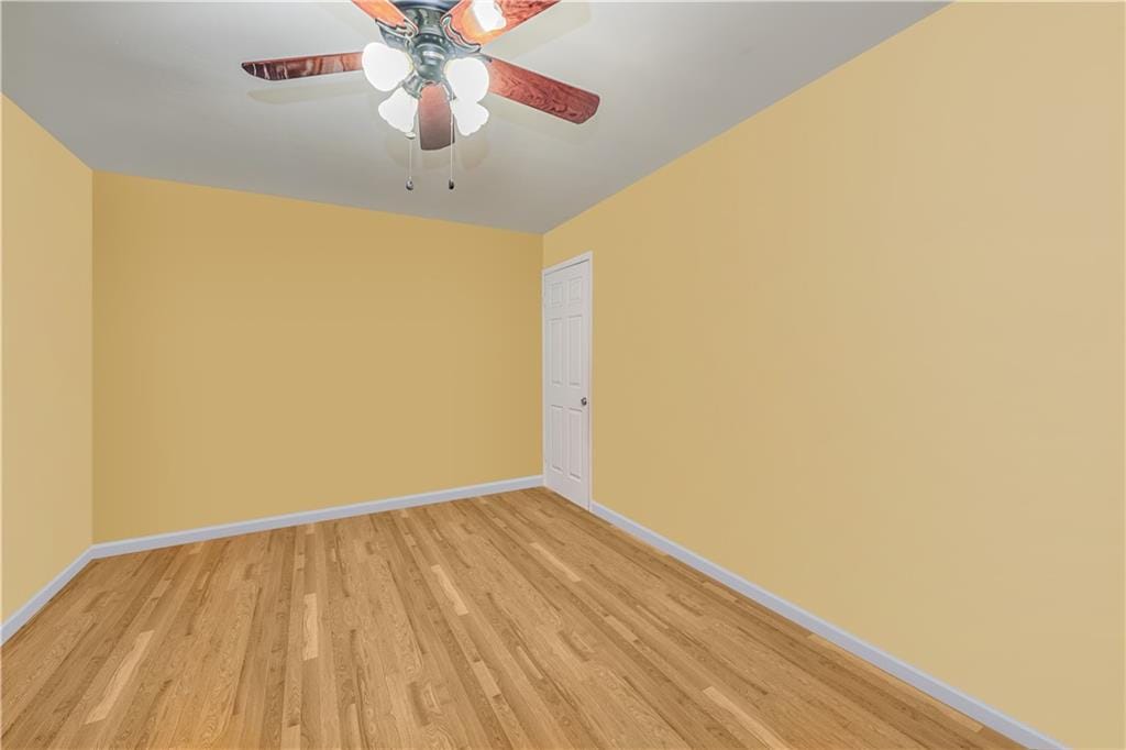 1310 84th Street 1A, Brooklyn, New York, 11228 image 10