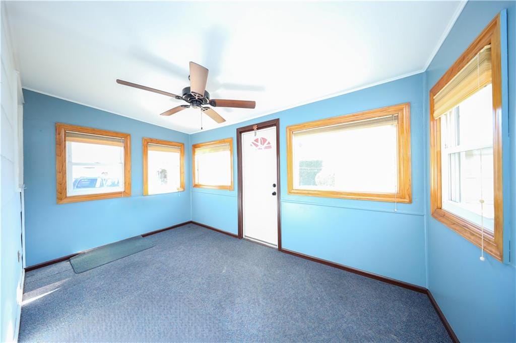 100 Sterling Avenue, Staten  Island, New York, 10306 image 11