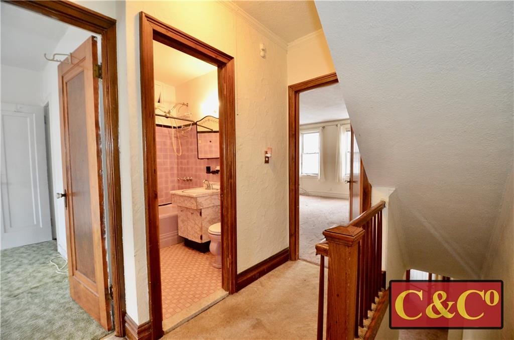 2030 Coyle Street, Brooklyn, New York, 11229 image 11