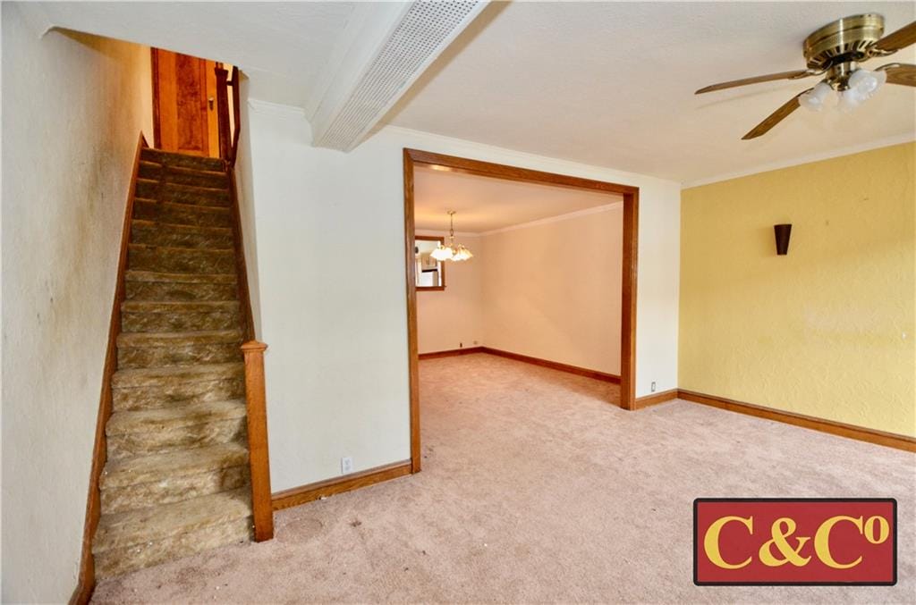 2030 Coyle Street, Brooklyn, New York, 11229 image 9