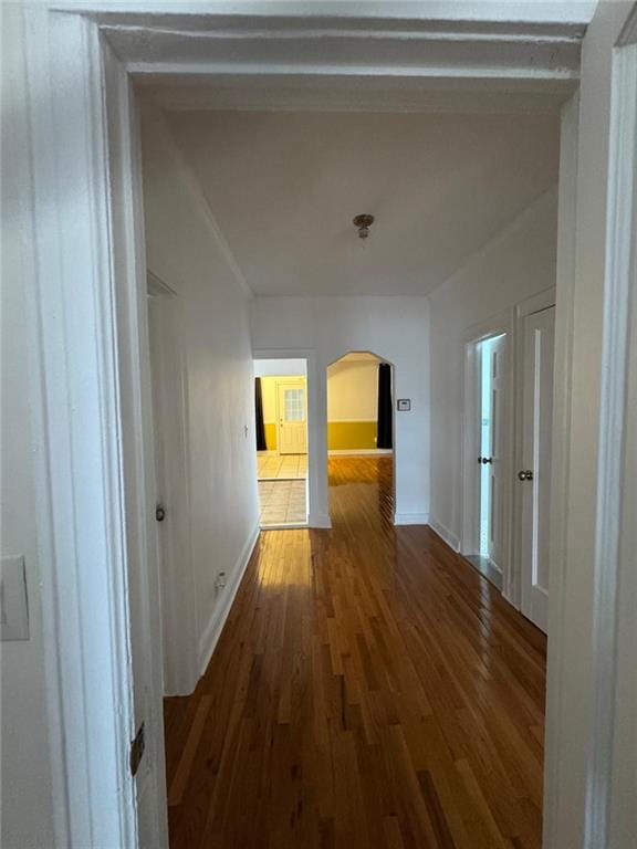 5823 Tilden Avenue, Brooklyn, New York, 11203 image 11