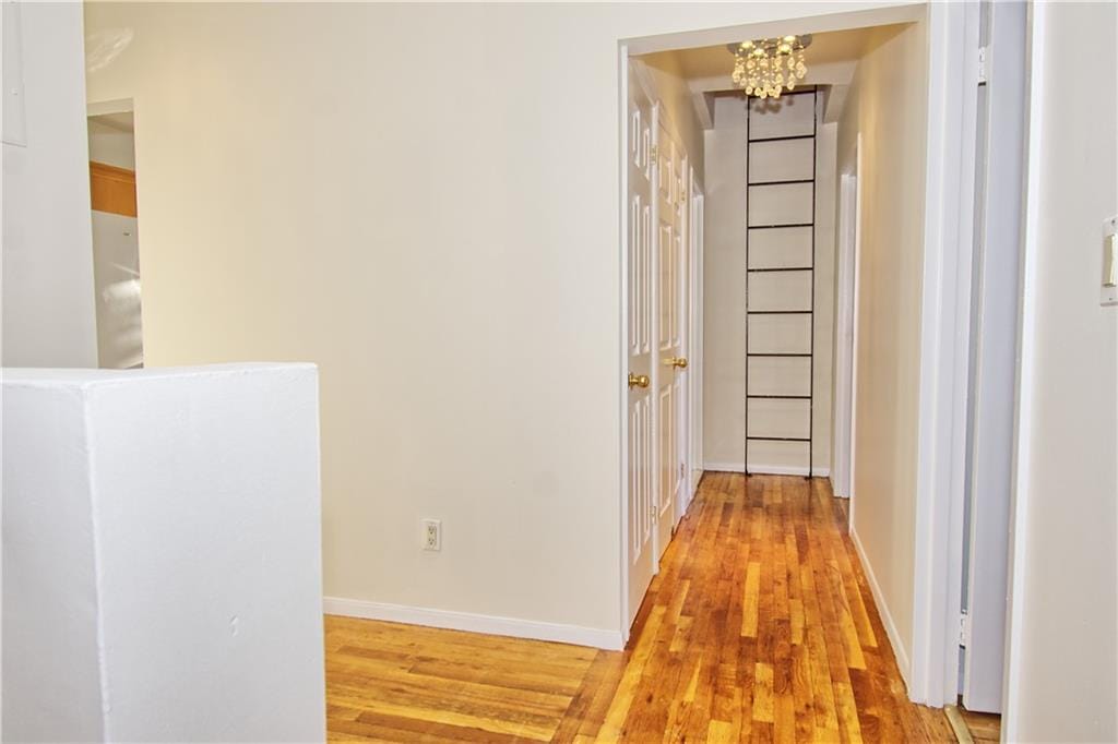 2501 Snyder Avenue 3E, Brooklyn, New York, 11225 image 7