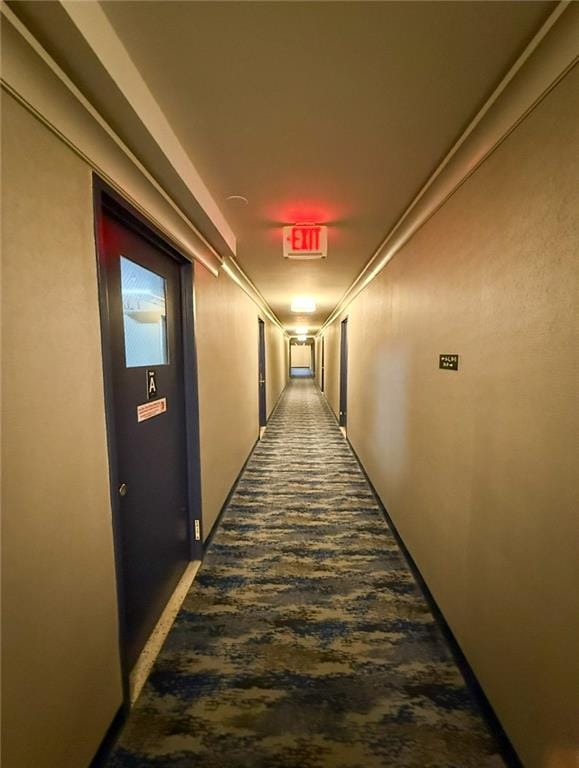 2650 Ocean Parkway 9N, Brooklyn, New York, 11235 image 22