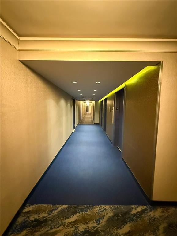 2650 Ocean Parkway 9N, Brooklyn, New York, 11235 image 23
