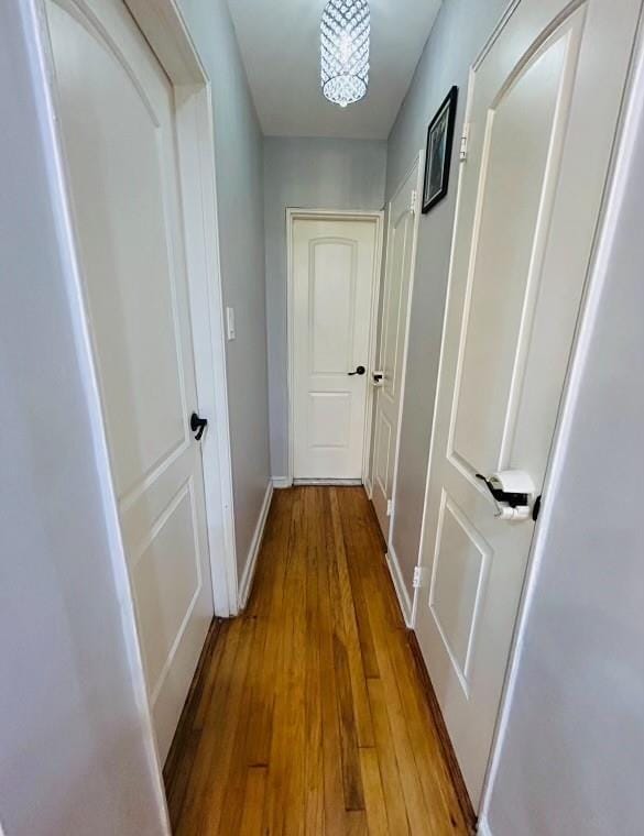 2807 Kings Highway 4C, Brooklyn, New York, 11229 image 12