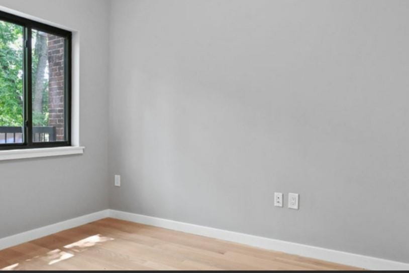1115 Hancock Street, Bushwick, New York, 11221 image 19