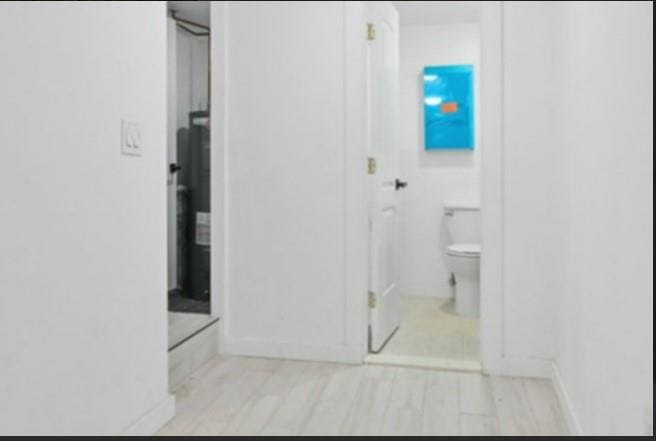 1115 Hancock Street, Bushwick, New York, 11221 image 28