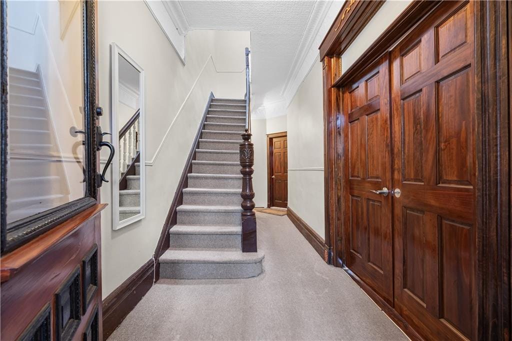 447 72nd Street, Brooklyn, New York, 11209 image 11