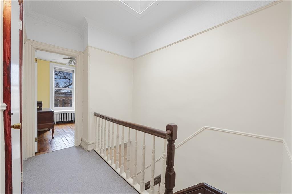 447 72nd Street, Brooklyn, New York, 11209 image 10