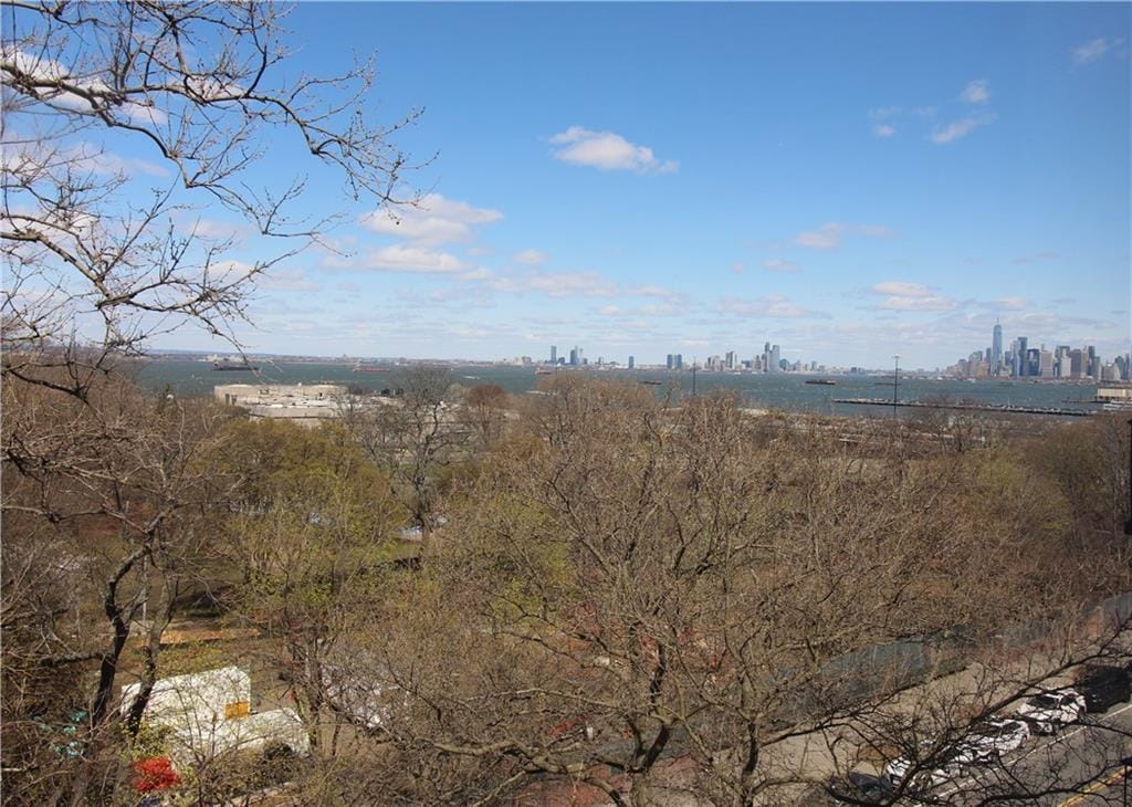 6665 Colonial Road 6E, Brooklyn, New York, 11220 image 20