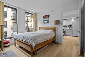 111 Montgomery Street 4R, Brooklyn, New York, 11225 image 11