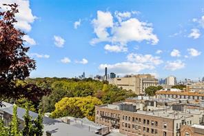 111 Montgomery Street 4R, Brooklyn, New York, 11225 image 20