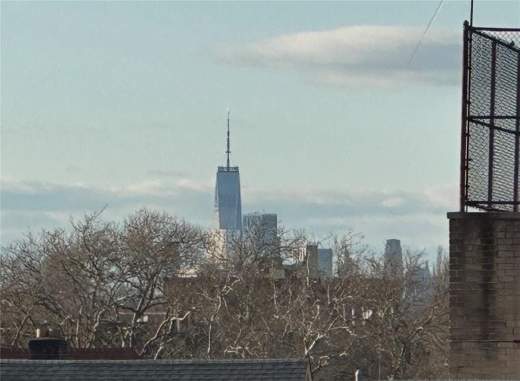 1500 Ocean Parkway 4G, Brooklyn, New York, 11230 image 18
