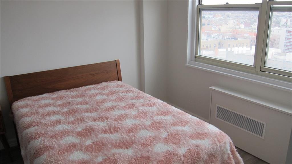 35 Seacoast Terrace 16H, Brooklyn, New York, 11235 image 13