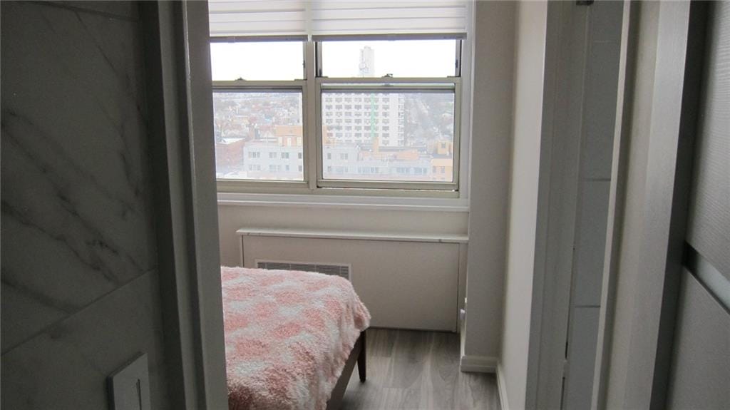 35 Seacoast Terrace 16H, Brooklyn, New York, 11235 image 17