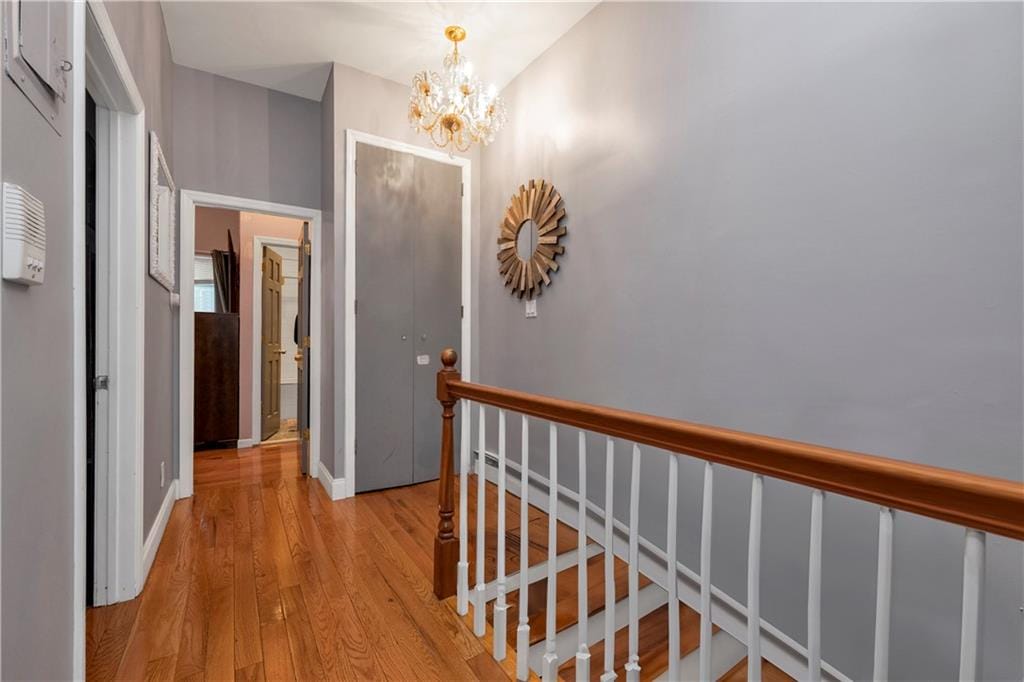 90 Louisiana Avenue, Brooklyn, New York, 11207 image 7