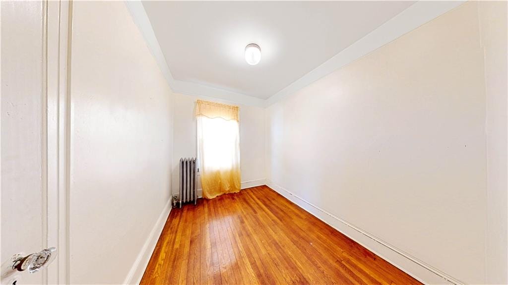 954 East 39th Street, Brooklyn, New York, 11210 image 12