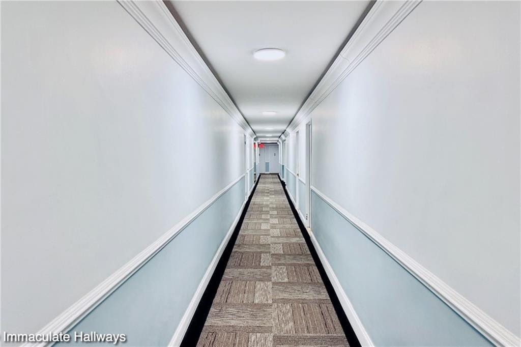 35 Seacoast Terrace 16D, Brooklyn, New York, 11235 image 15