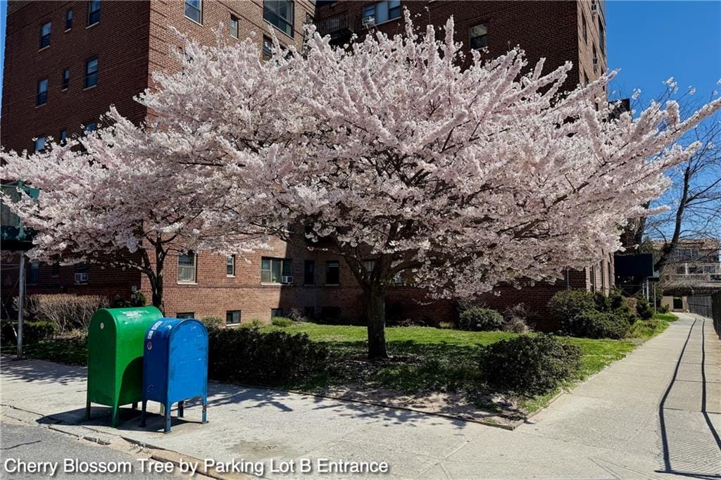 35 Seacoast Terrace 16D, Brooklyn, New York, 11235 image 32