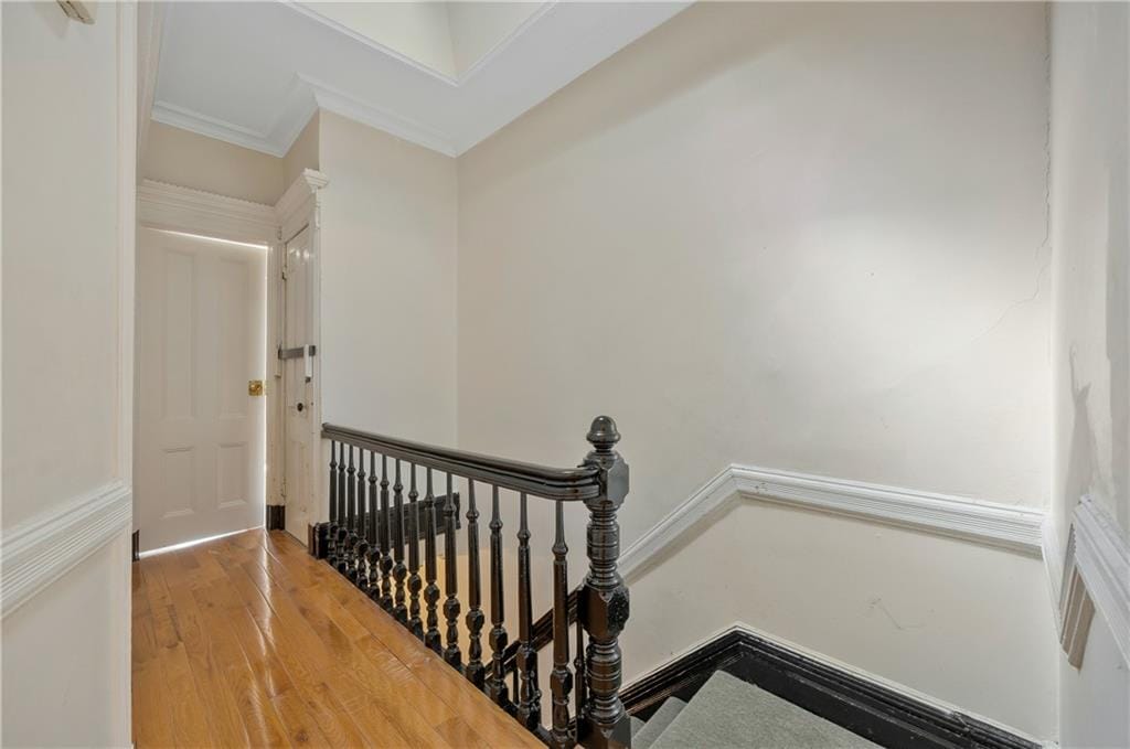 699 Decatur Street, Brooklyn, New York, 11233 image 14