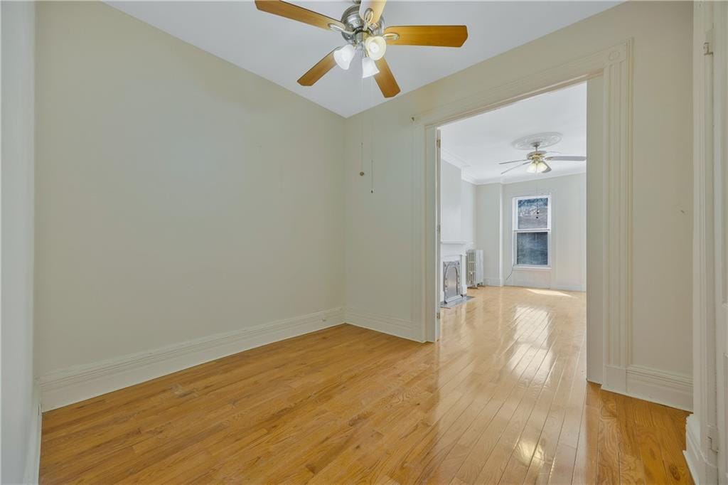 699 Decatur Street, Brooklyn, New York, 11233 image 17