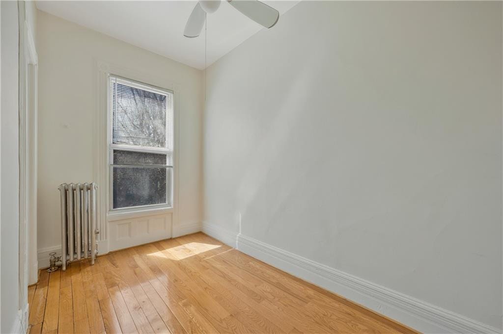 699 Decatur Street, Brooklyn, New York, 11233 image 18