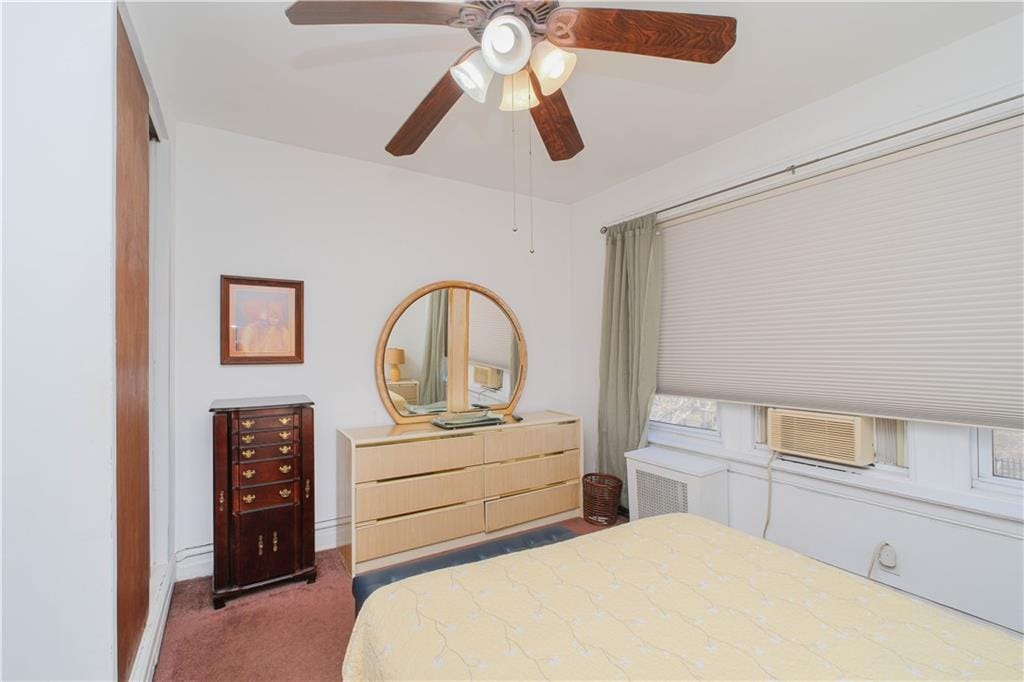 266 Wakeman Place, Brooklyn, New York, 11220 image 13