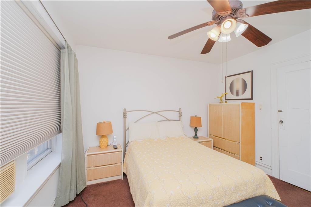 266 Wakeman Place, Brooklyn, New York, 11220 image 14
