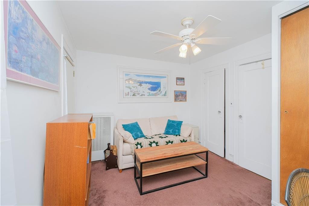 266 Wakeman Place, Brooklyn, New York, 11220 image 16