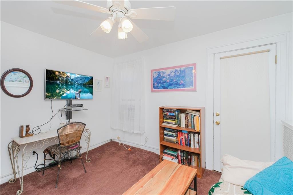 266 Wakeman Place, Brooklyn, New York, 11220 image 17