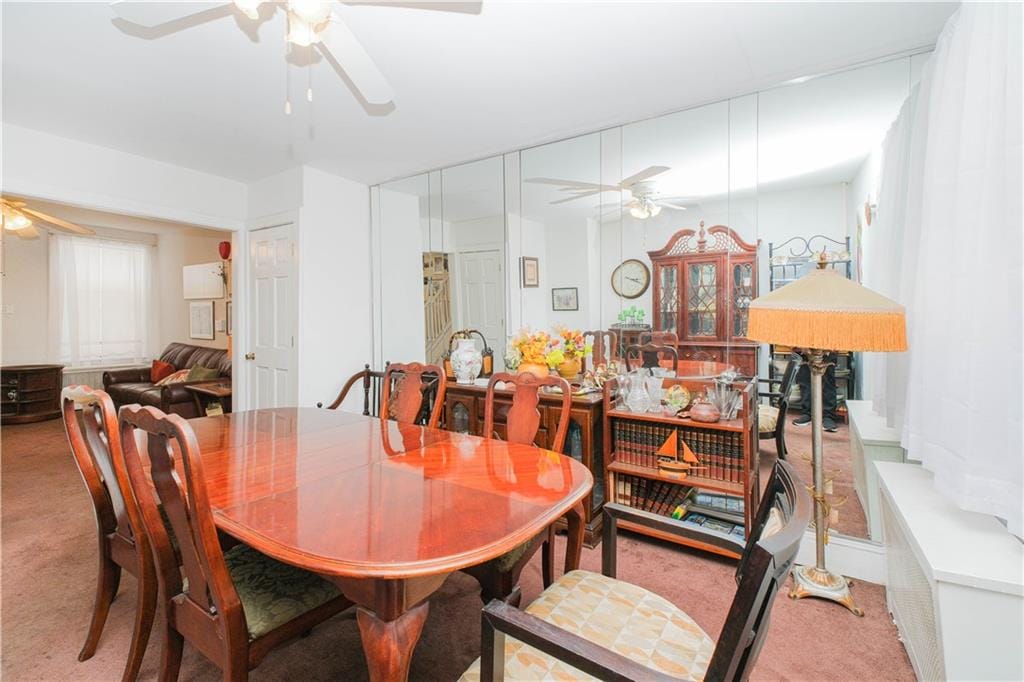 266 Wakeman Place, Brooklyn, New York, 11220 image 8